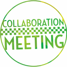 Collaboration Meeting