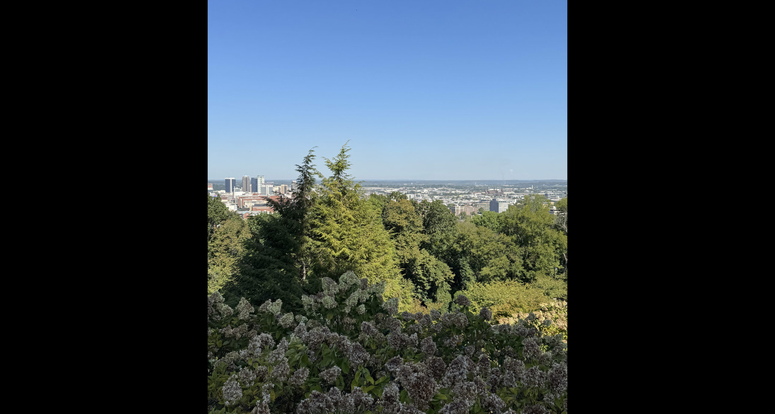 Birmingham from Vulcan Park