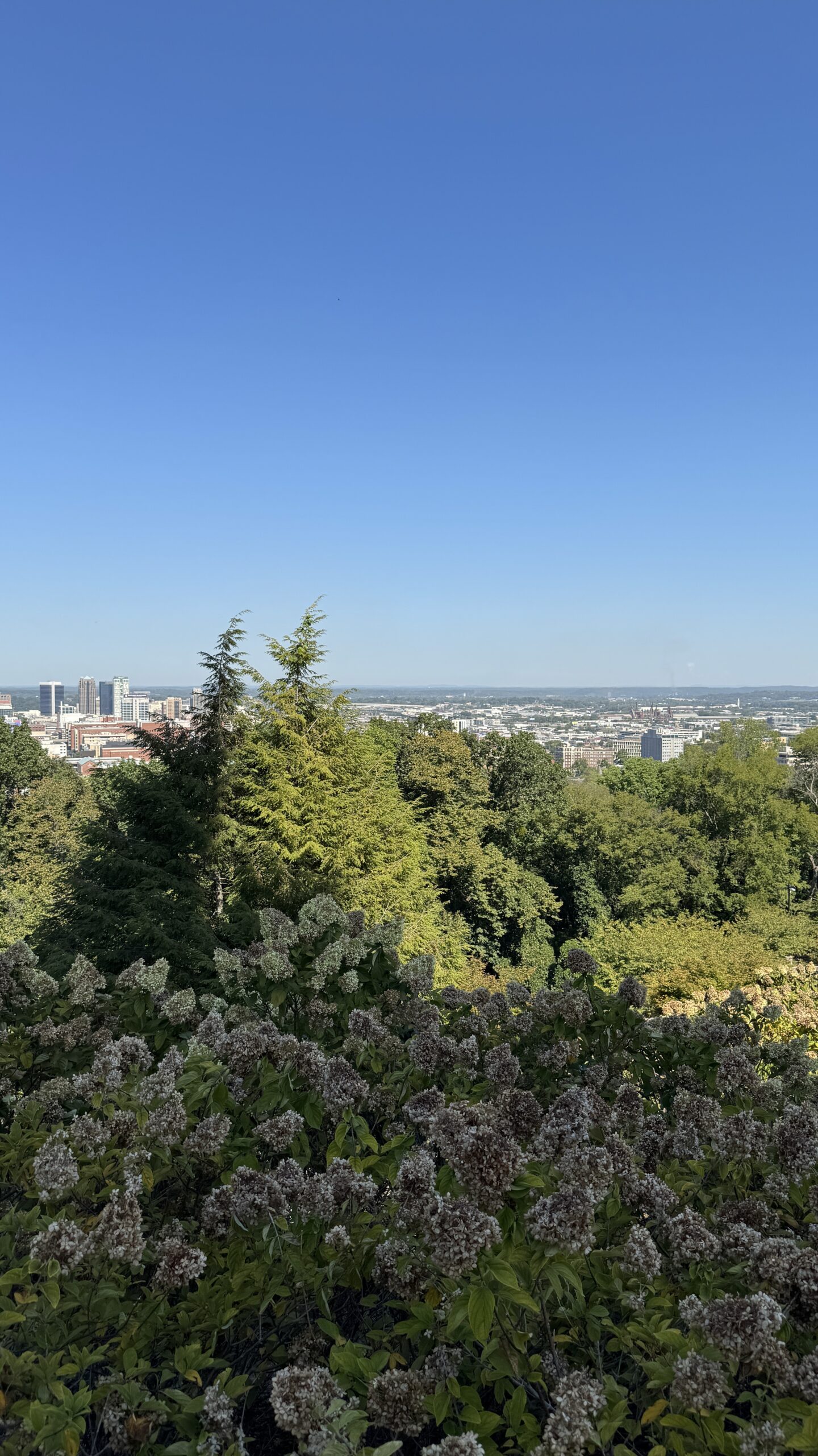 Birmingham from Vulcan Park