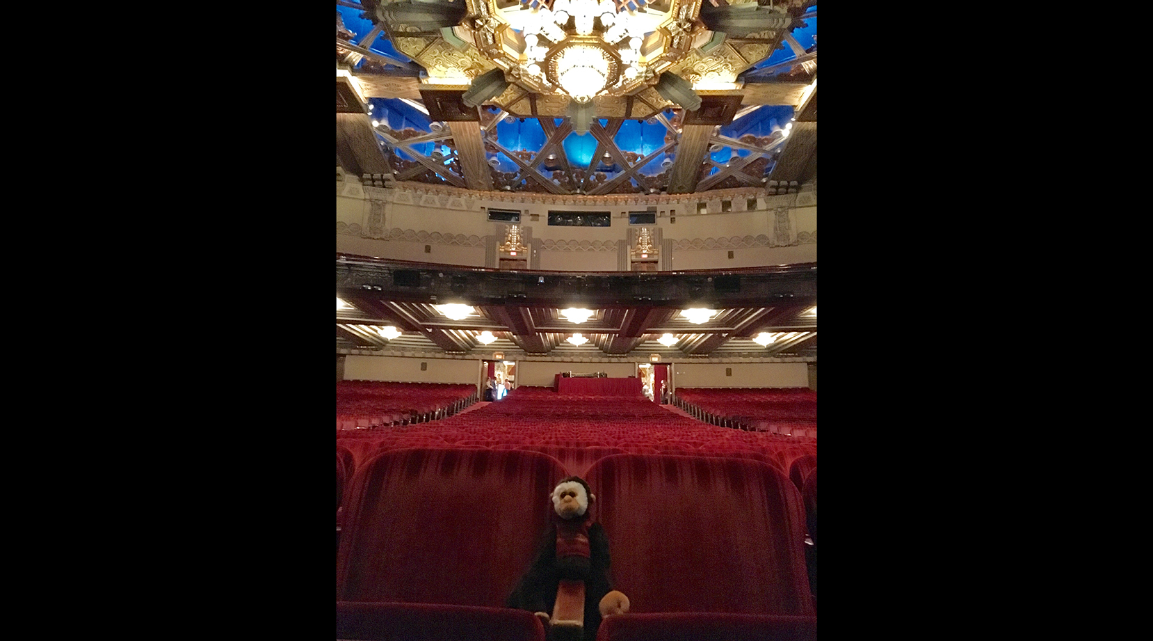 Our social media mascot (from The Drowsy Chaperone, Festival 2004) takes in the Pantages house.